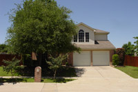 tree trimming gainseville texas