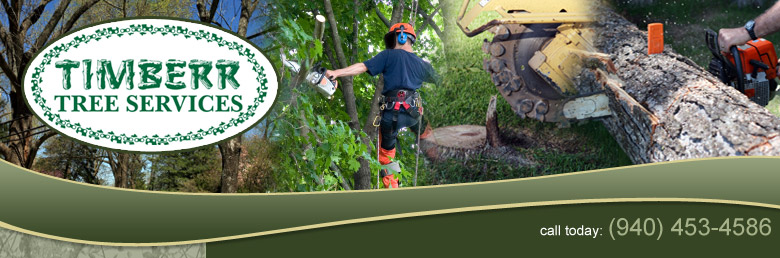 Timberr Tree Service - Denton Tree Trimming, Lewisville Tree Services, Gainesville Tx Tree Trimming